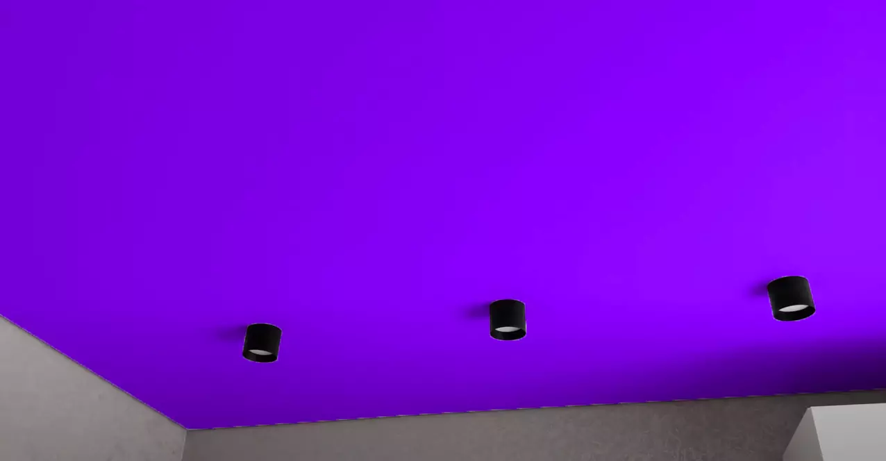 Псков, Инженерная, 118, фото 2