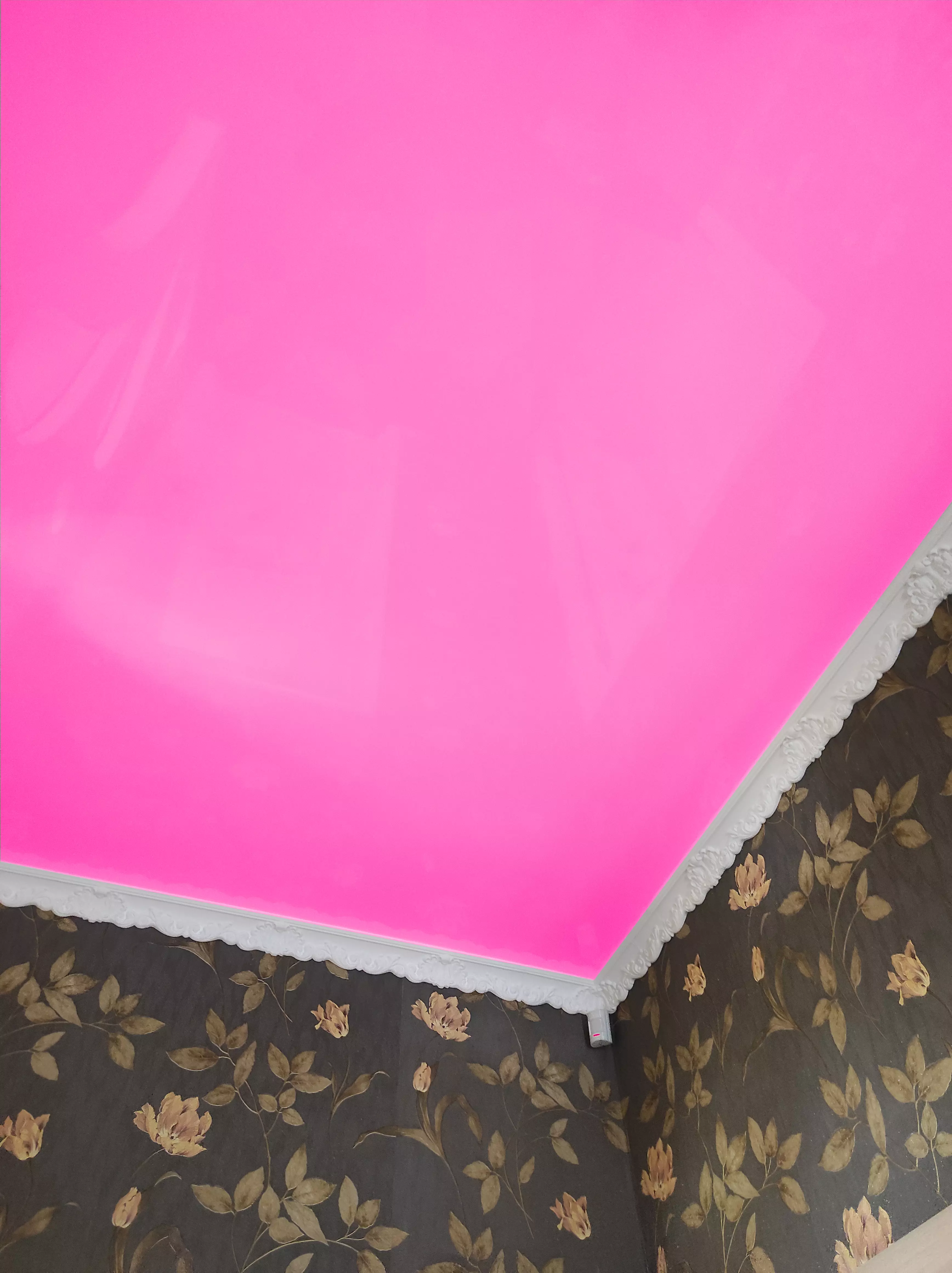 Псков, Рокоссовского, 16, фото 2