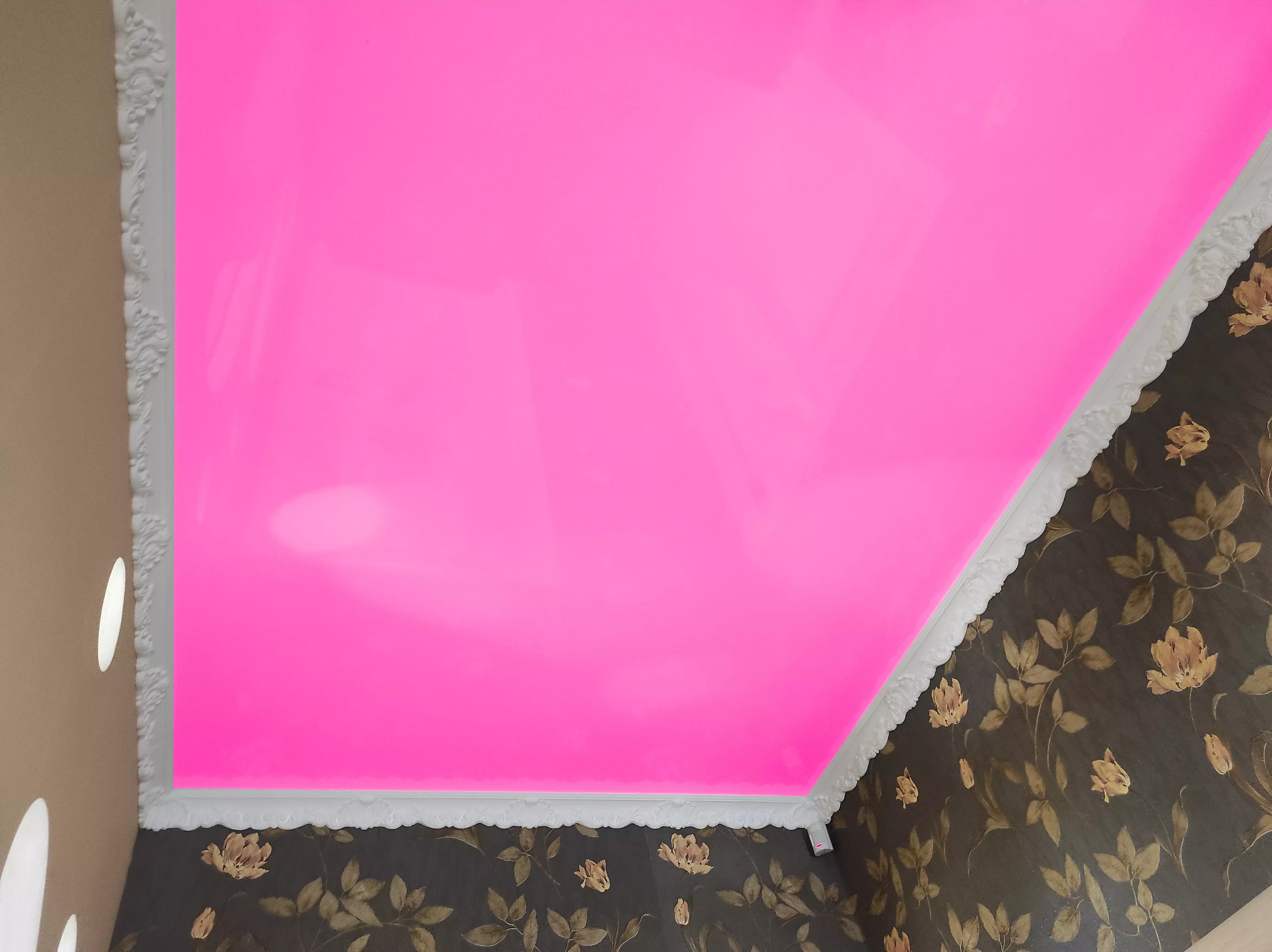 Псков, Рокоссовского, 16, фото 3