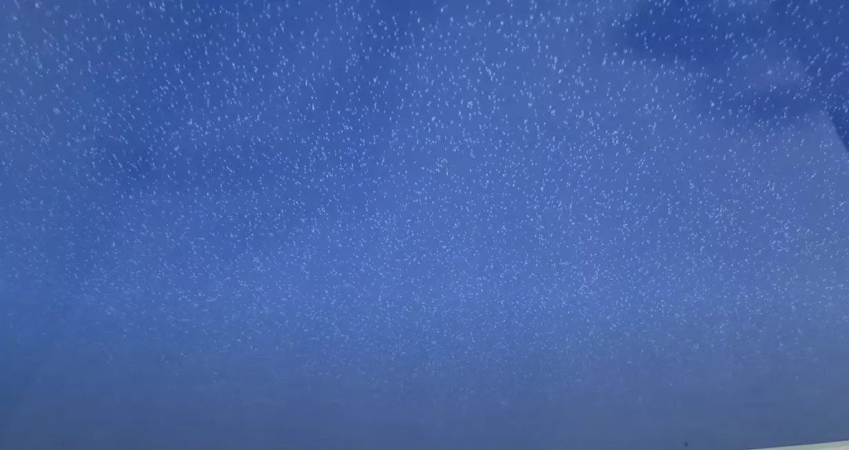 Алушта, , фото 3