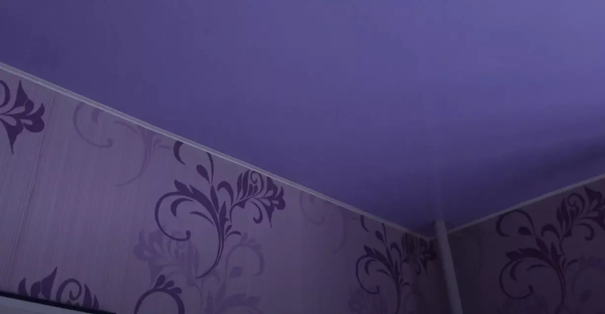 Псков, Инженерная, 88, фото 2