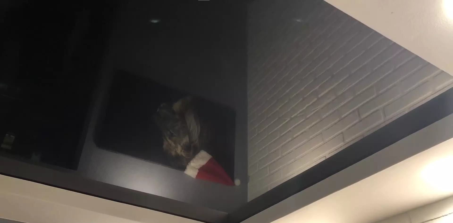 Махачкала, улица Коркмасова, 16, фото 3