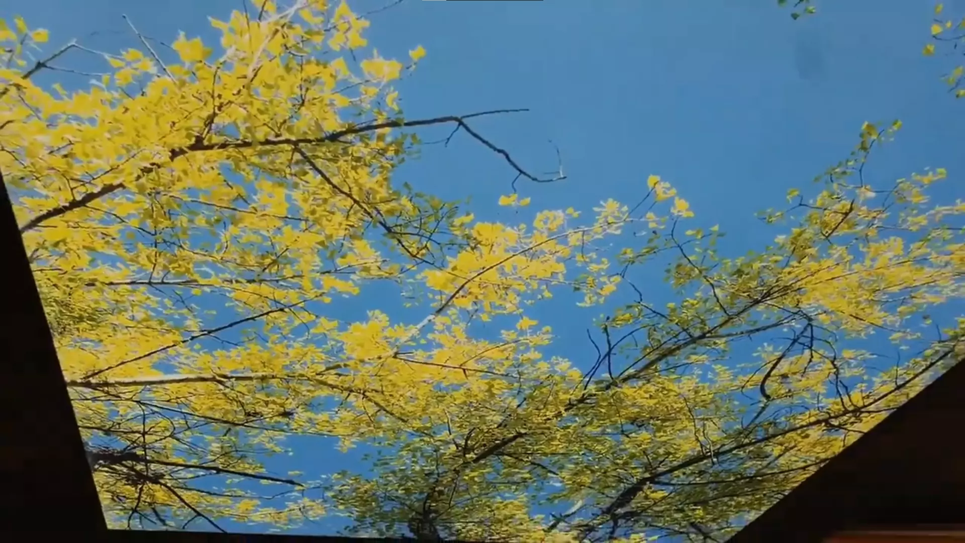 Самара, Галактионовская, 23, фото 2